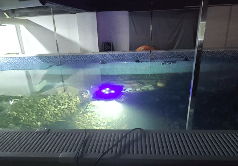 Underwater robotics demo